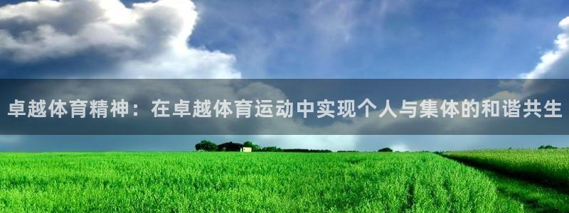 杏运电动汽车多少钱一辆：卓越体育精神：在卓越体育运动中实现个人与集体的和谐共生