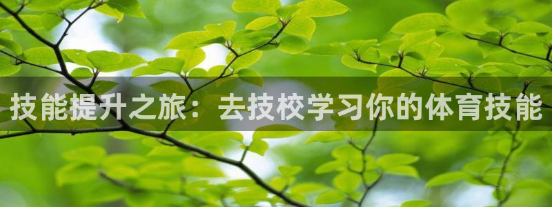 杏运集团官网：技能提升之旅：去技校学习你的体育技能