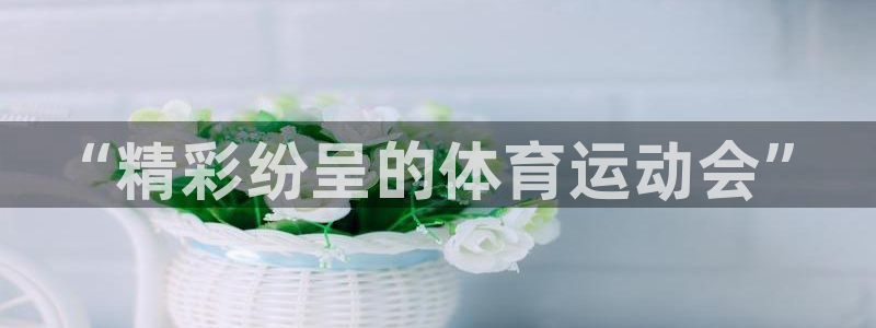杏运体育官网：“精彩纷呈的体育运动会”