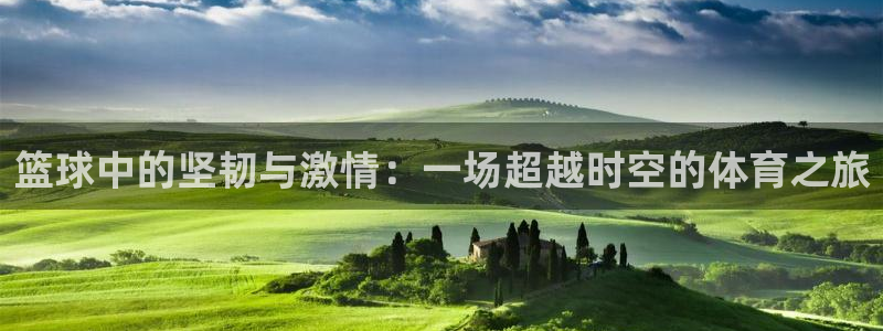 杏运集团总部：篮球中的坚韧与激情：一场超越时空的体育之旅