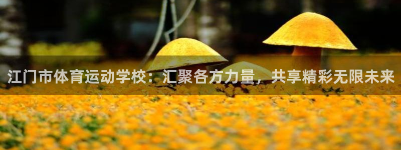 杏运5注册：江门市体育运动学校：汇聚各方力量，共享精彩无限未来