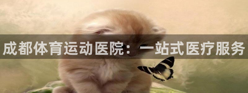 杏运礼盒：成都体育运动医院：一站式医疗服务