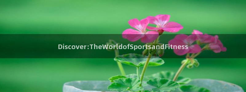 杏运体育4：Discover:TheWorldofSportsandFitnes