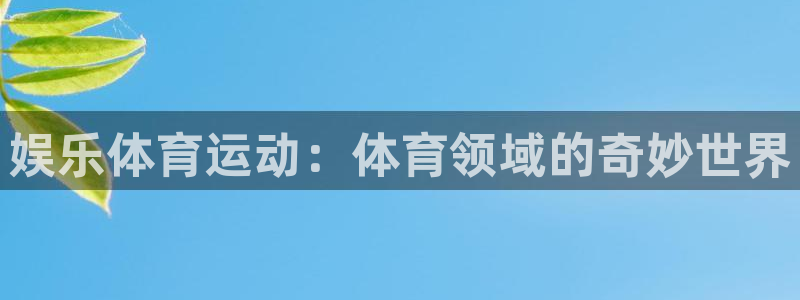 杏运体育和杏耀是哪个公司的：娱乐体育运动：体育领域的奇妙世界