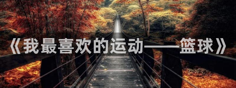 杏运体育f开户：《我最喜欢的运动——篮球》