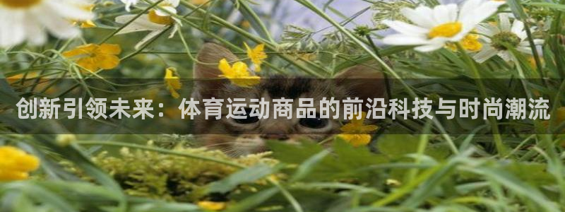 杏运当头：创新引领未来：体育运动商品的前沿科技与时尚潮流
