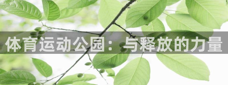 杏运4平台：体育运动公园：与释放的力量