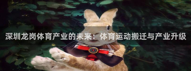 杏运礼盒：深圳龙岗体育产业的未来：体育运动搬迁与产业升级