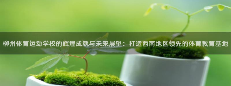 杏运4注册：柳州体育运动学校的辉煌成就与未来展望：打造西南地区领先的体育教育基地
