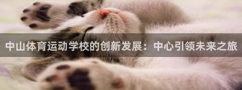 杏运体育用品：中山体育运动学校的创新发展：中心引领未来之旅