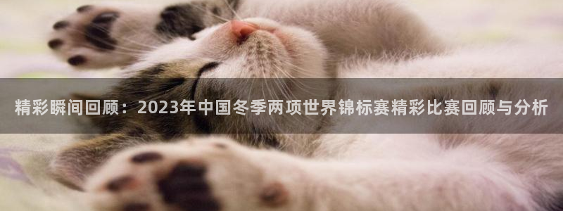 杏运娱乐怎么样：精彩瞬间回顾：2023年中国冬季两项世界锦标赛精彩比赛回顾与分析