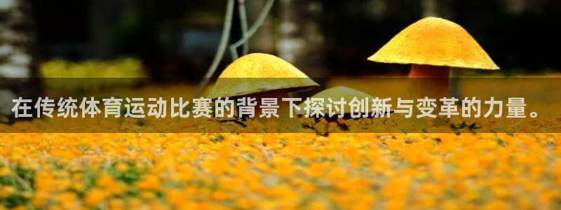 杏运平台开号：在传统体育运动比赛的背景下探讨创新与变革的力量。