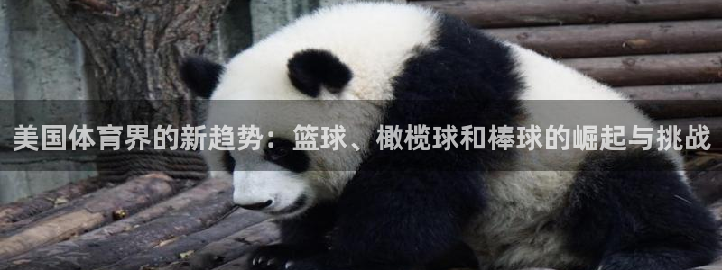 杏运4开户：美国体育界的新趋势：篮球、橄榄球和棒球的崛起与挑战