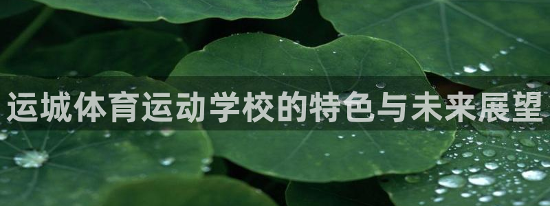 杏运5招商：运城体育运动学校的特色与未来展望