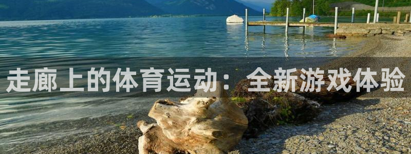 杏运官网入口：走廊上的体育运动：全新游戏体验
