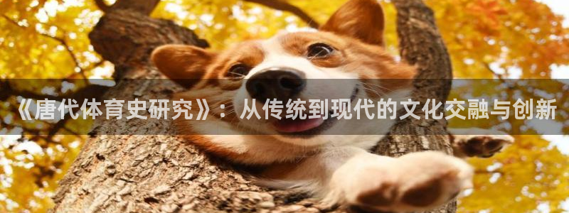 杏运4：《唐代体育史研究》：从传统到现代的文化交融与创新