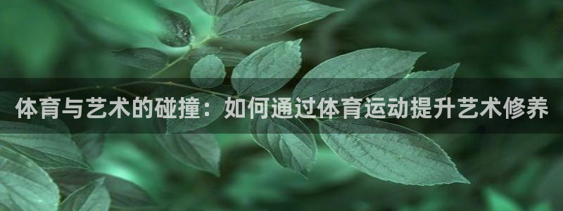 杏运体育和杏耀是哪个公司的：体育与艺术的碰撞：如何通过体育运动提升艺术修养