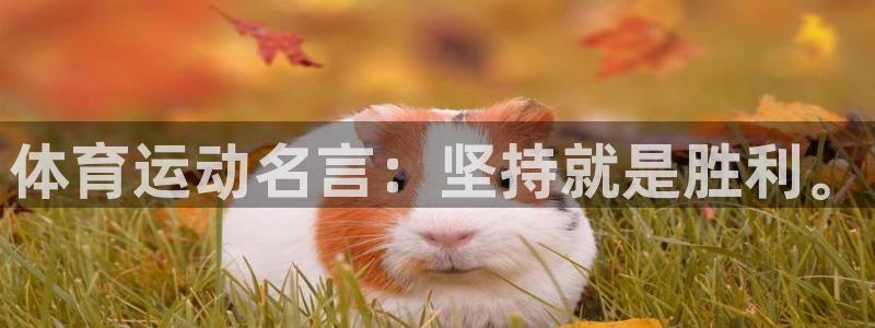 杏运体育平台开号链接：体育运动名言：坚持就是胜利。